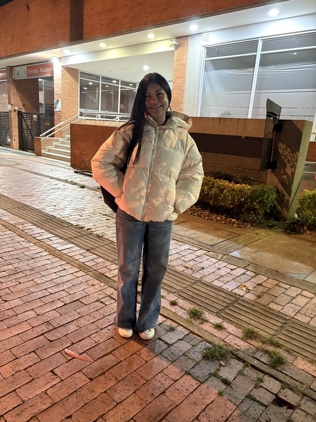 Pollo, caminando en la calle